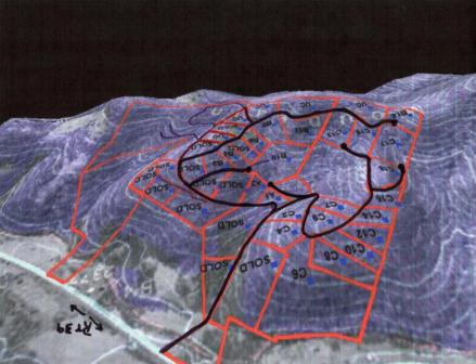Topo with roads and individual lots