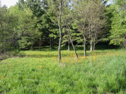 Lovely meadow  is prime homesite in this restricted development