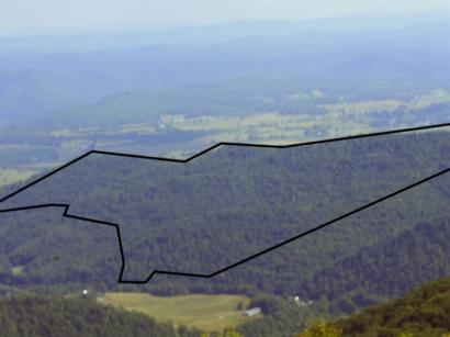 Location of boundary of this wooded mountain development