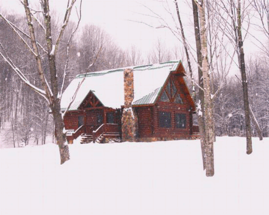 This modern log home is loaded with features