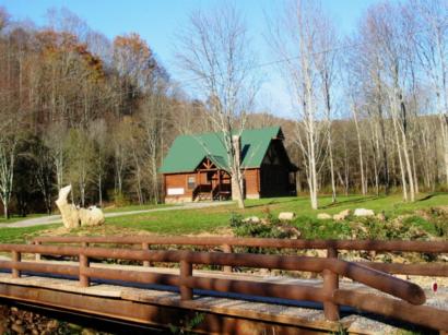 This modern log home is loaded with features